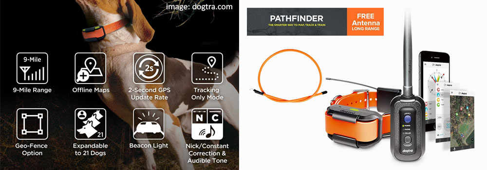 Dogtra Pathfinder Dog Remote Training and GPS Tracking Collar
