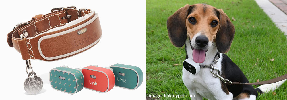 Link AKC Smart Dog Collar with GPS Tracker & Activity Monitor